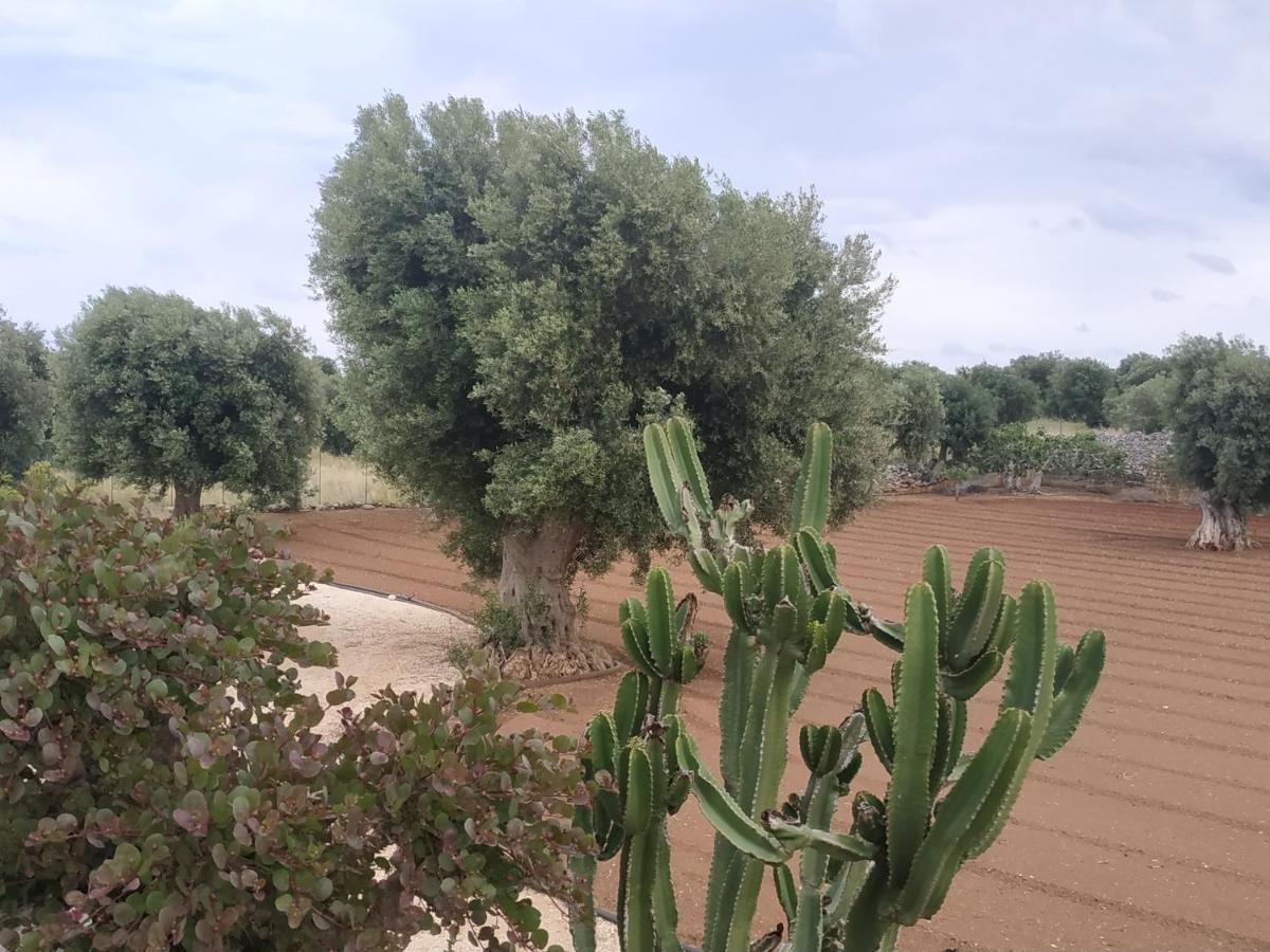 Masseria Auina Hotel Fasano Exterior photo